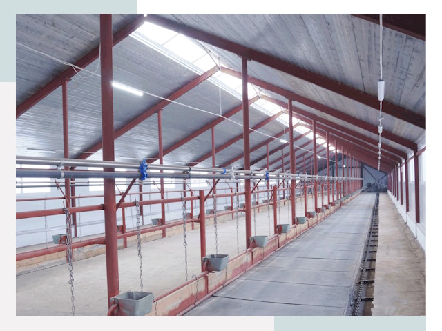 Строительство коровников в Ейске от 618 руб.