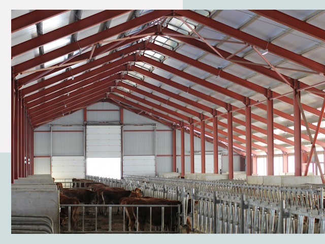 Строительство коровников в Ейске