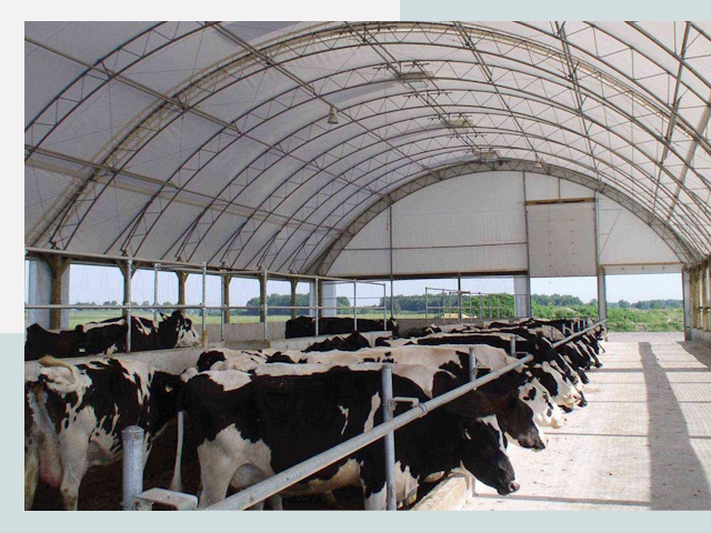 Тентовые коровники в Ейске